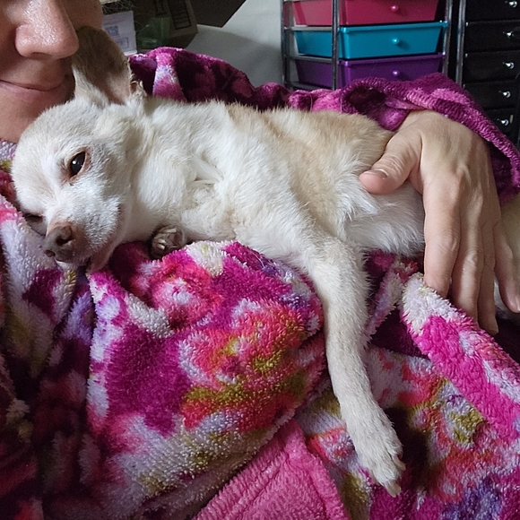 Meet your Posher, Stefie๐ฆ๐๐ฆ - Picture 5 of 9